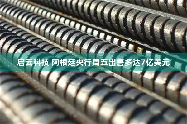 启云科技 阿根廷央行周五出售多达7亿美元