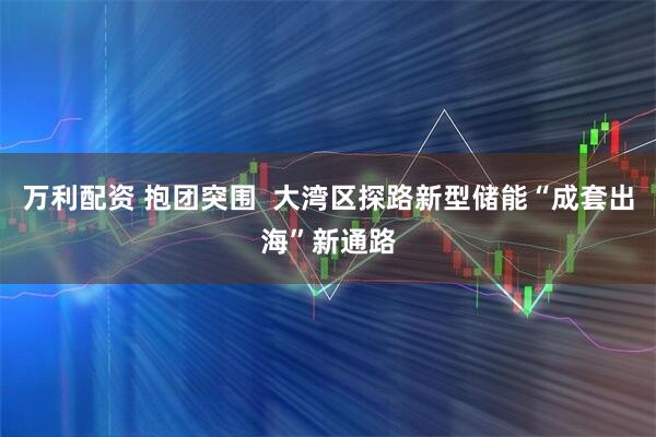 万利配资 抱团突围  大湾区探路新型储能“成套出海”新通路