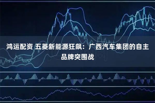鸿运配资 五菱新能源狂飙：广西汽车集团的自主品牌突围战