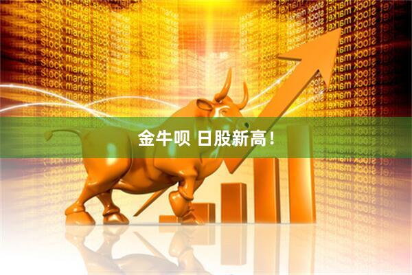 金牛呗 日股新高！